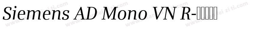 Siemens AD Mono VN R字体转换